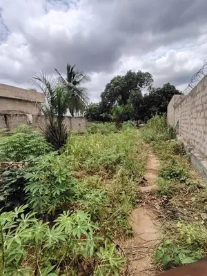 Vente d'un terrain à Zossimé, demi-lot entre Zossimé et Amarenta, proche du Rond-Point Zossimé – 10 millions FCFA — photo 7
