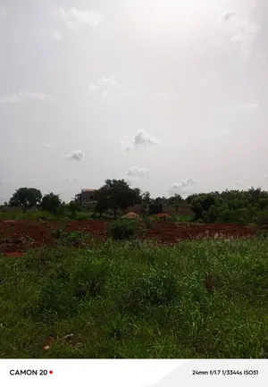 Vente de terrain à Zanguera Akepedo Jérusalem, 4 lots, bornage fait – 15 millions FCFA le lot — photo 2