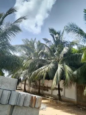 Terrain 224 m² en vente à Adidogomé Ségbé – 7 500 000 FCFA — photo 3