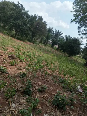 Terrain à vendre à Davié, proximité École de Police – à partir de 10 millions FCFA — photo 4