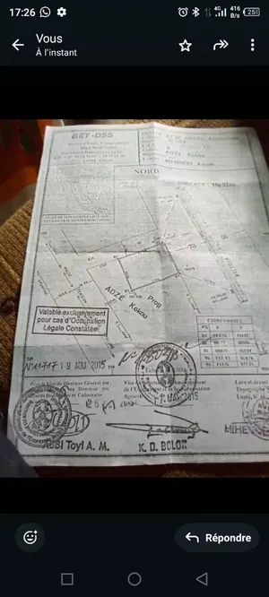 Terrain 1200 m² en vente en angle de rue et bordure du goudron à Noepé – 22 millions FCFA