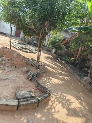 Terrain clôturé avec bâtiments en vente à Adidogomé Avenou Avé Maria – 57 millions FCFA — photo 10