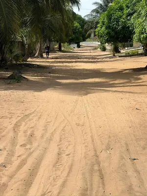 Vente d'un terrain à Agovoudou, 1 lot clôturé, proche du goudron – 22 millions FCFA — photo 5