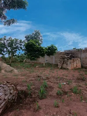Terrain demi-lot 600 m² en vente à Aképé, côté péage Lomé-Kpalimé – 10 millions FCFA à débattre — photo 4