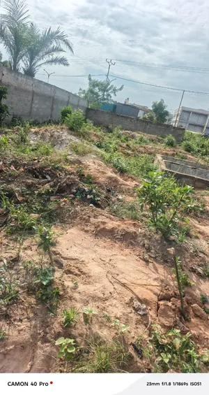 Vente d'une maison à Apessito, 2 pièces, quart de lot, plan OTR – 12 millions FCFA à revoir — photo 5