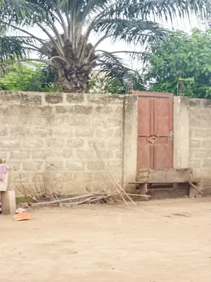 Terrain demi-lot 300 m² en vente à Legbassito Zovadjin – 11 millions FCFA