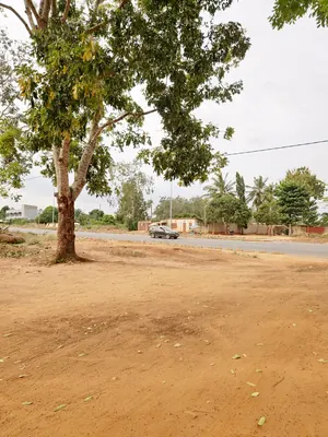 Terrain en vente à Noépé près du lycée Aképé–Noépé – 7,5 millions FCFA le lot — photo 3