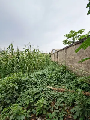 Terrain 2250 m² en vente au bord d'une grande voie à Agoè Légbassito – 35 millions FCFA — photo 3