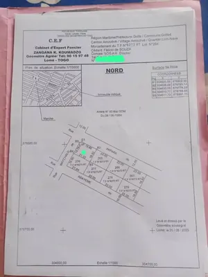 Terrain demi-lot en vente à Amoutivé Lomnava – 65 millions FCFA