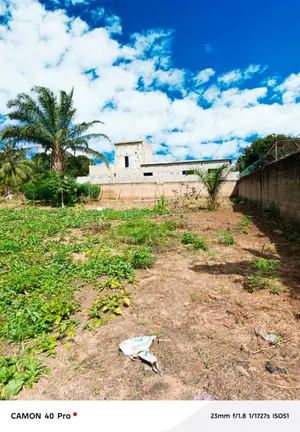 Terrain nu 1/4 lot à vendre à Zanguera – 5 500 000 FCFA — photo 3