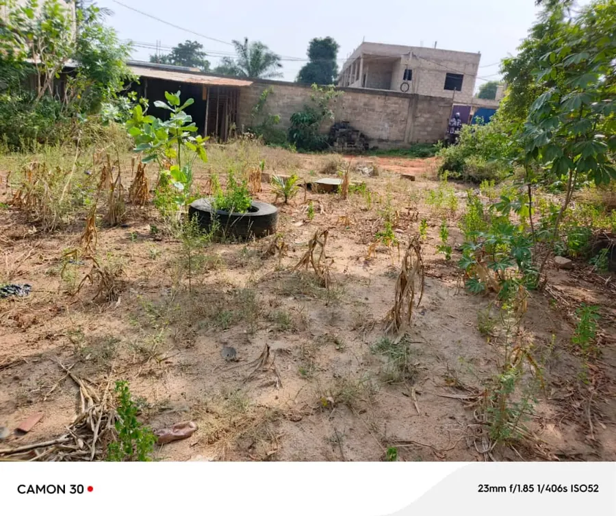 Terrain 600 m² en vente à Agoè Demakpoè – 26 millions FCFA