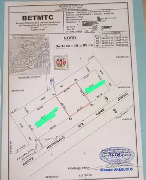 Terrain de 1609 m² en vente au bord du goudron à Agbata – 130 millions FCFA