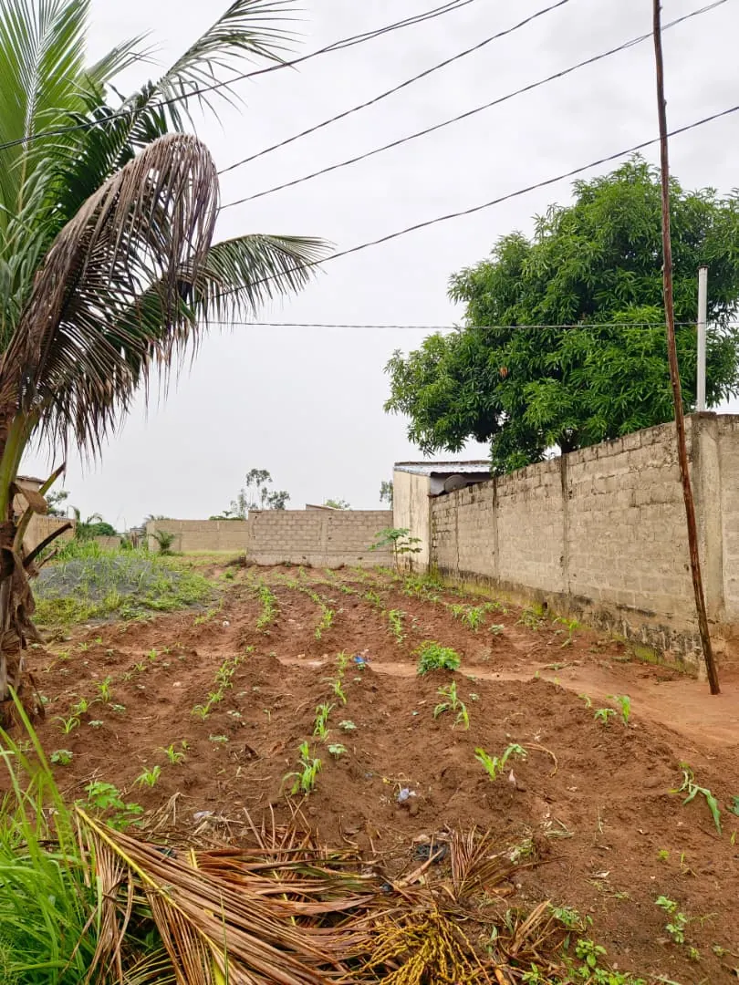 Terrain 340 m² en vente à Légbassito Kognito – 7,5 millions FCFA