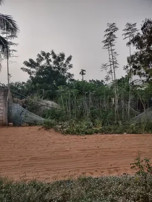 Terrain demi-lot 300 m² à vendre à Akato Démé – 7 500 000 FCFA — photo 5