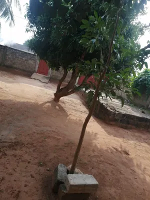 Terrain 1 lot clos avec 2 pièces en vente à Adidogomé Segbé Klemè – 27 millions FCFA — photo 2
