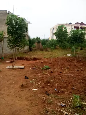 Terrain 500 m² en vente à Zanguéra Togokomé – 14 millions FCFA