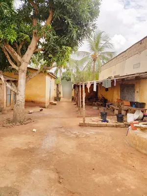 Vente d'une maison à Légbassito près du marché, 2 chambres + salon, à 100 m du goudron CEDEAO – 18 millions FCFA négociable — photo 3