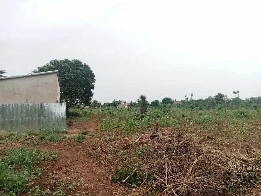 Terrain 11 lots à vendre à Adidomé – 7 500 000 FCFA le lot