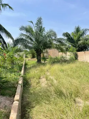 Terrain demi-lot en vente à Zanguéra Atidjin Jerusalem – 7,5 millions FCFA — photo 4