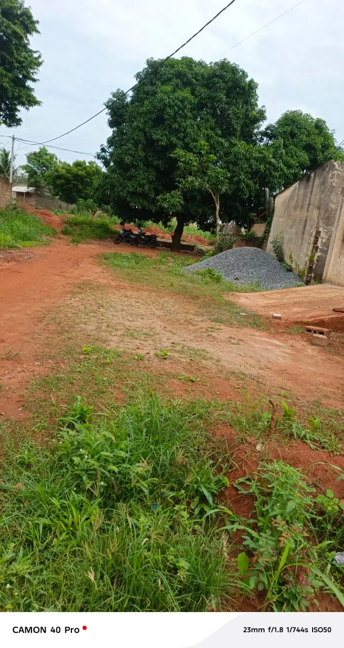 Terrain demi-lot en vente à Apessito Légbassito – 7 millions FCFA