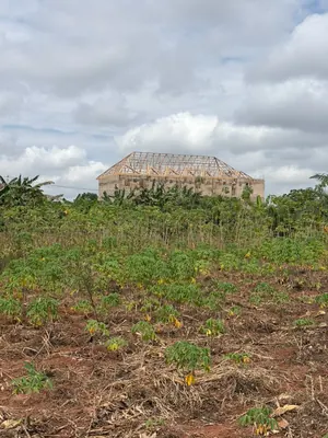 Vente de terrain à Noépé, 2 lots en bordure de voie de 70m – 10 millions FCFA le lot