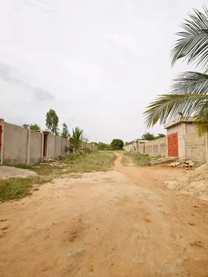 Terrain en vente à Noépé près du lycée Aképé–Noépé – 7,5 millions FCFA le lot — photo 5
