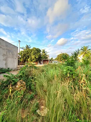 Vente d'un terrain au Rond-point Avinato (Légbassito), 1 lot, 559 m², titre foncier personnel – 35 millions FCFA — photo 8