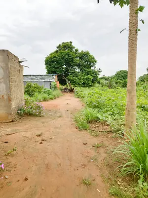11 lots 5 pièces 6651 m² en vente à Kovié Dzemeké – 45 millions FCFA — photo 7
