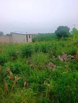 Terrain demi-lot de 300 m² en vente à Dangbéssito – 15 millions FCFA — photo 4
