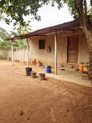 Terrain avec bâti de 236 m² en vente à 100 mètres du goudron à Legbassito Zovadjin – 13 millions FCFA — photo 5
