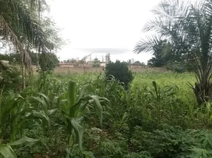 Terrain 2 lots clôturé en vente à Agoè côté Camp de Police – 22 millions FCFA le lot