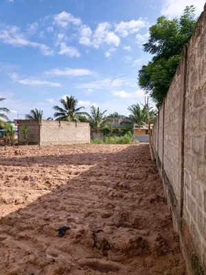 Terrain 1 lot en vente à Légbassito-Zovadjin – 15 millions FCFA — photo 4