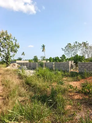 Terrain de plus de 5 lots en vente à Kpala-Djigbé – 12 millions FCFA le lot — photo 4