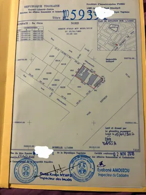 Terrain 804 m² en vente angle de rue à Agoè Assiyéyé – 180 millions FCFA
