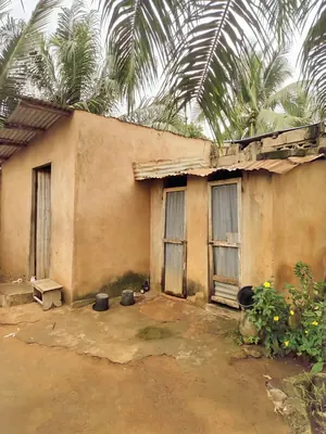 Terrain demi-lot 300 m² avec 3 pièces et boutique à vendre à Agoè Légbassito – 16 millions FCFA — photo 3