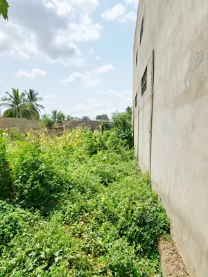 Vente d'un terrain à Légbassito Marché, 750 m², à 60 mètres du goudron – 35 000 000 FCFA — photo 2