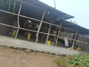 Maison 1 pièce en vente à Agoè Légbassito quartier Belgique – 22 millions FCFA — photo 4