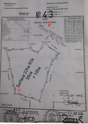 Terrain de 33 ha 43 a 88 ca en vente à Agbelouve Tchito Voutokpa – 3,5 millions FCFA l'unité — photo 4