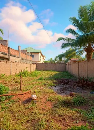 Terrain demi-lot en vente à Sagbado Logoté Carrefour CFA – 16 millions FCFA