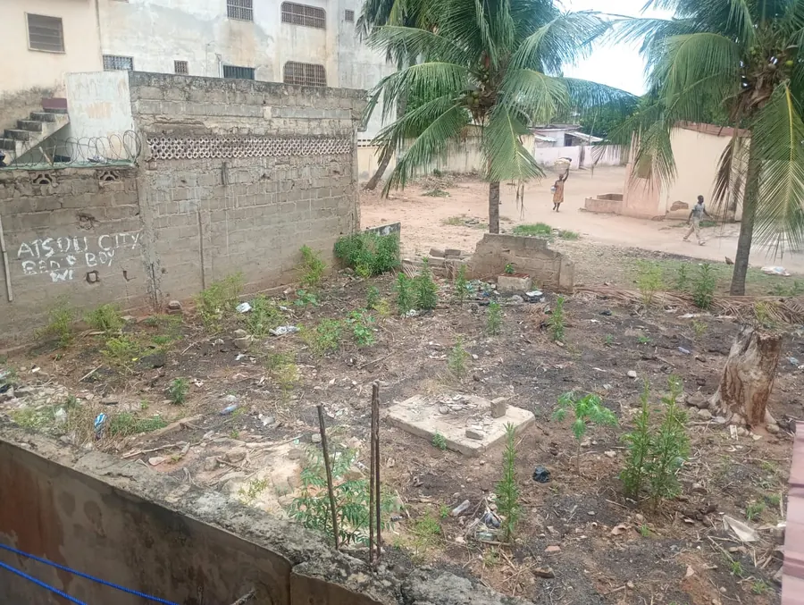 Terrain de 150 m² en vente à Totsi Gbinkome – 15 millions FCFA