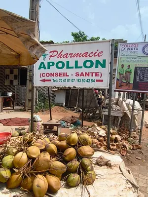 Terrain 1 lot en vente à Avedji Coconote – 55 000 000 FCFA — photo 2