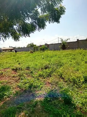 Terrain 8 lots clôturés à vendre à Djagblé Kleme, proche du goudron – 35 millions FCFA le lot — photo 3
