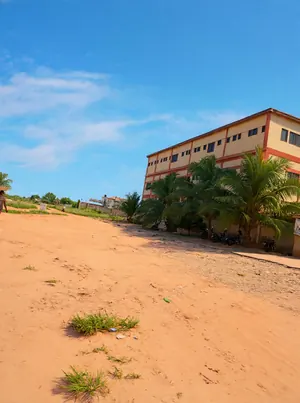 Terrain demi-lot de 300 m² en vente à Zanguera Aképédok – 7,5 millions FCFA — photo 5