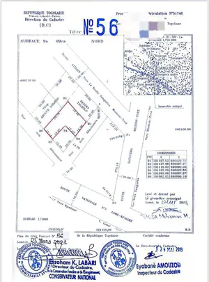 Terrain 1 lot (600 m²) en vente à Sanguera Kopegan – 22 millions FCFA — photo 4