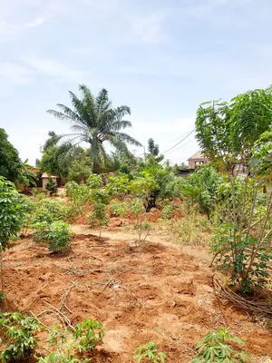 Terrain 680 m² en vente en angle de rue à Adidogomé Apédokoè – 35 millions FCFA — photo 4