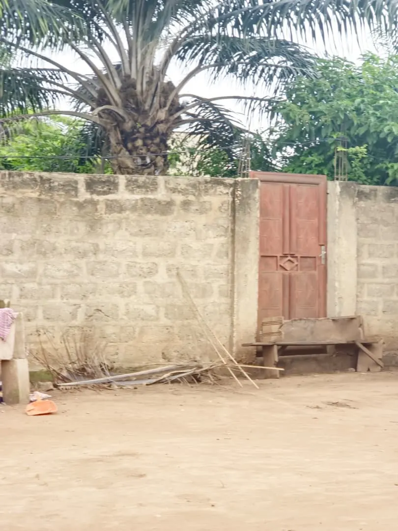 Terrain demi-lot 300 m² en vente à Legbassito Zovadjin – 11 millions FCFA