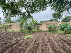 Terrain 2 lots à vendre à Kpalimé, proche du goudron – 25 millions FCFA
