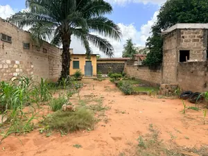 Terrain 259 m² en vente à Totsi Gblinkomé – 23 millions FCFA — photo 3