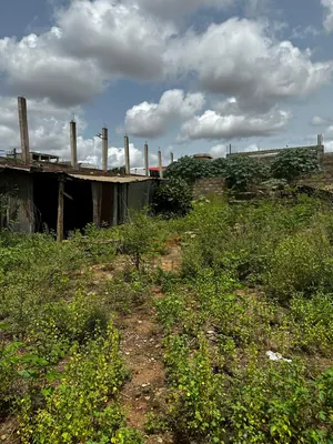 Terrain 600 m² en vente à Agoè Fil O Parc à 100 m de la Nationale N°1 – 57 millions FCFA — photo 2