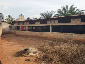 Terrain bâti 1 lot à vendre à Zanguéra Sagnako – 25 millions FCFA — photo 4